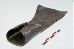 Foto von Eisendechsel (NHMW-PRAE-024328)